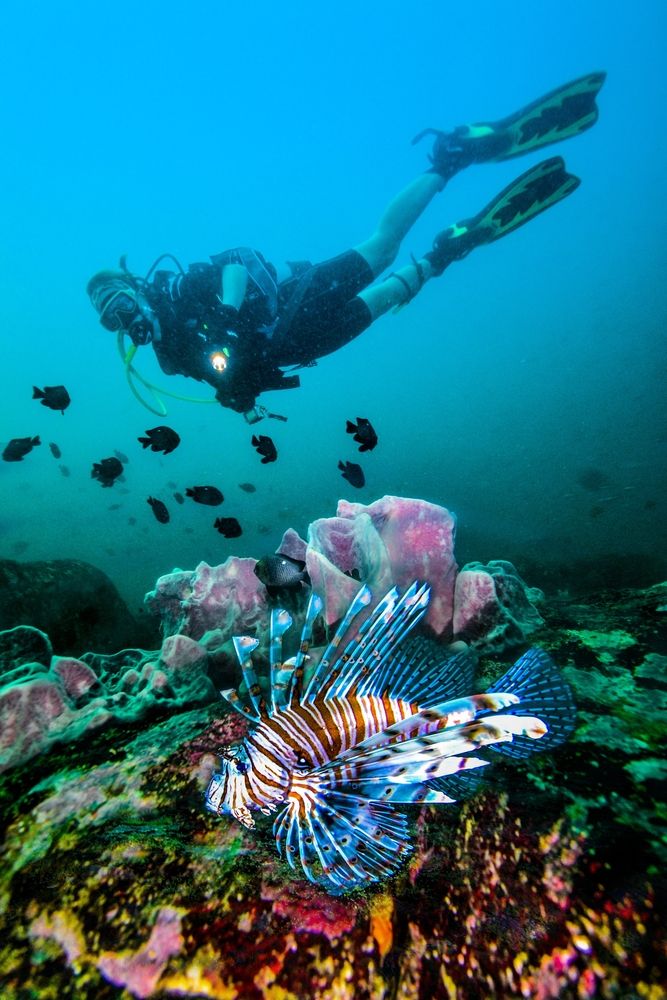 Mirissa