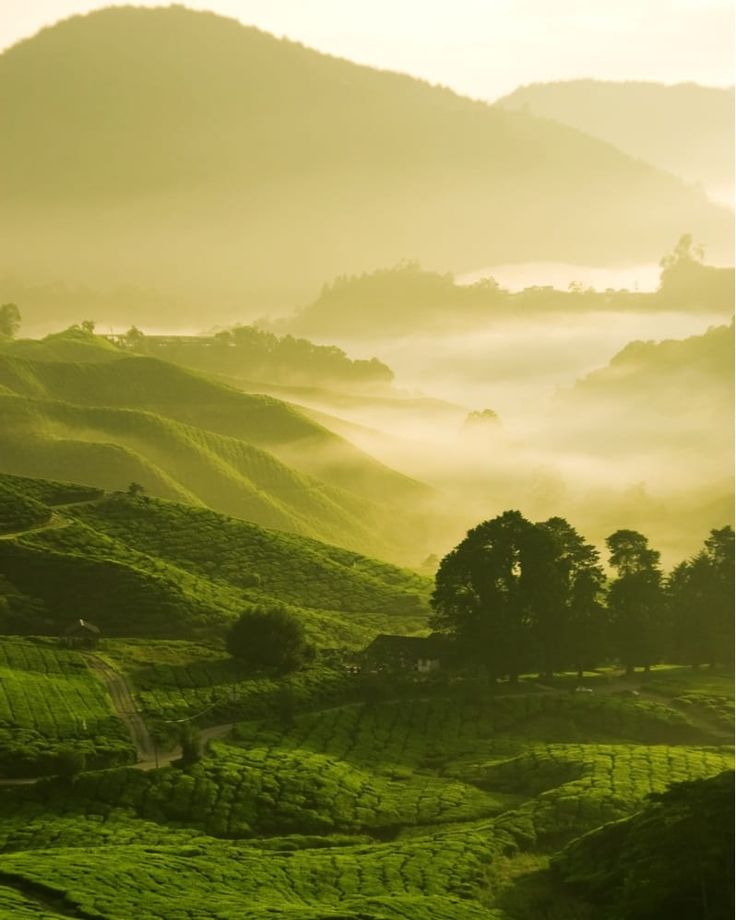 Nuwara Eliya